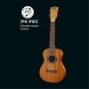 Ukulele PUKA PK-PEC Koncert
